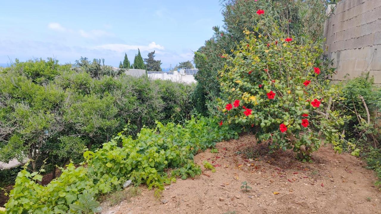 Stunning Villa With Pool, Table Tennis, Table Soccer And A Pool Table Naxxar Екстер'єр фото